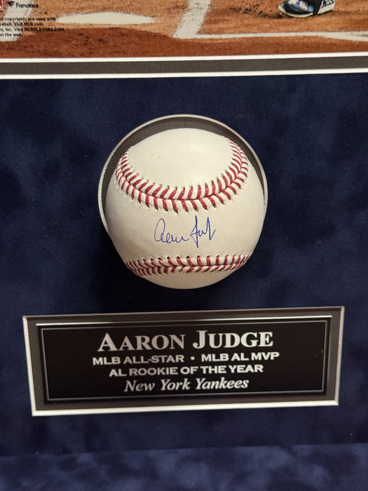 Aaron Judge New York Yankees Autographed Baseball Framed To 14x18 Fanatics