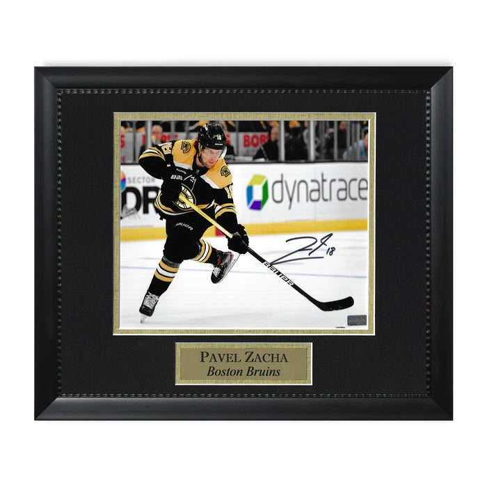 Pavel Zacha Boston Bruins Autographed 8x10 Photo Framed to 11x14 NEP