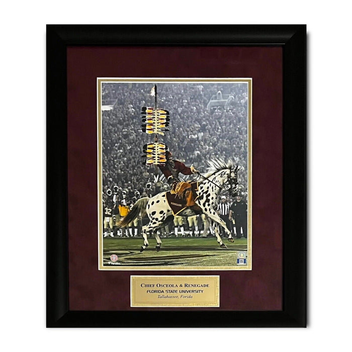 Florida State Seminoles FSU - Unsigned Photograph Framed to 16x20