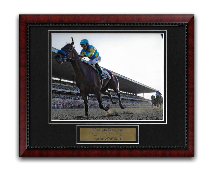 American Pharaoh Unsigned Photo Framed to 11x14